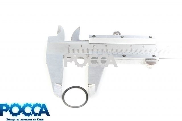 Кольцо форсунки (резиновое) Евро-3 BAW (Бав)