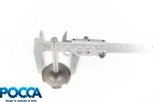 Клапан впускной BAW (Бав) Fenix 1044 33462 1065 33460 дв.CA4DC2