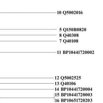 Деталь по артикулу Q5002016 — положение на схеме Механизм переключения (М/Т) BAW (Бав) · 1065 · LC5T35