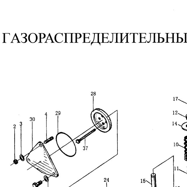 Экранов — положение на схеме ГРМ (распредвал, клапана, шестерни)