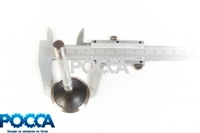 Клапан выпускной BAW (Бав) Fenix 1044 33462 1065 33460 дв.CA4DC2