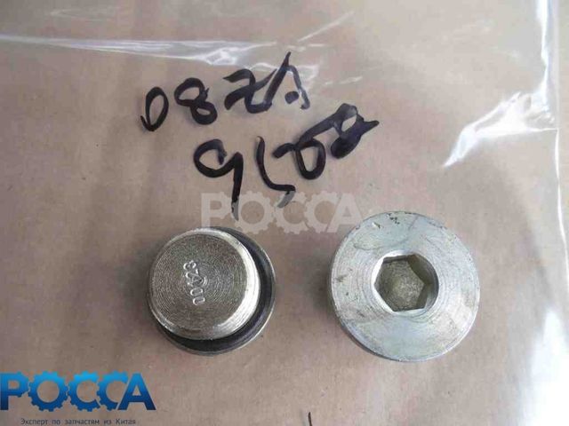 Заглушка М22х1.5 бортового редуктора (мост STEYR) HOWO (Хово) SHAANXI (Шанкси) SHACMAN (Шакман)