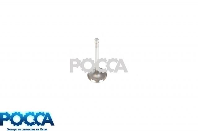 Клапан впускной BAW (Бав) Fenix 1044 33462 1065 33460 дв.CA4DC2