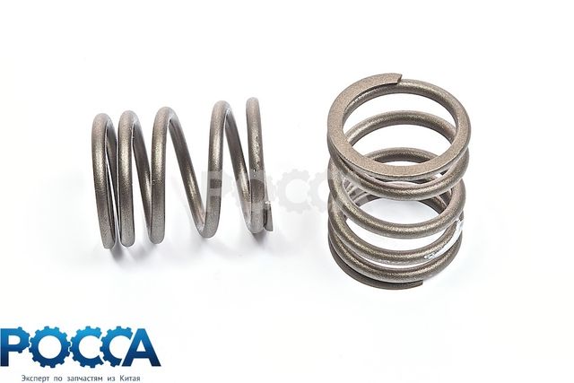 Пружина клапана наружняя Perkins FOTON (Фотон) 1049A 1069 1099