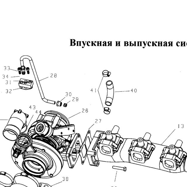 Хомут шланга — положение на схеме Впускная и выпускная система