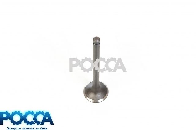 Клапан выпускной Евро-2 BAW (Бав) Fenix 1044