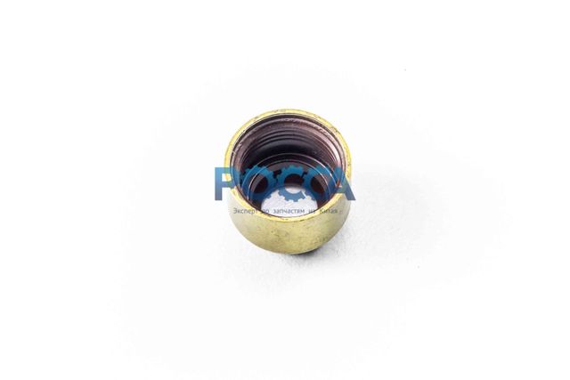 Колпачок маслосъемный BAW (Бав) Fenix 1065 Евро-3/4 1044 FAW (Фав) 1041 Евро-3 1051