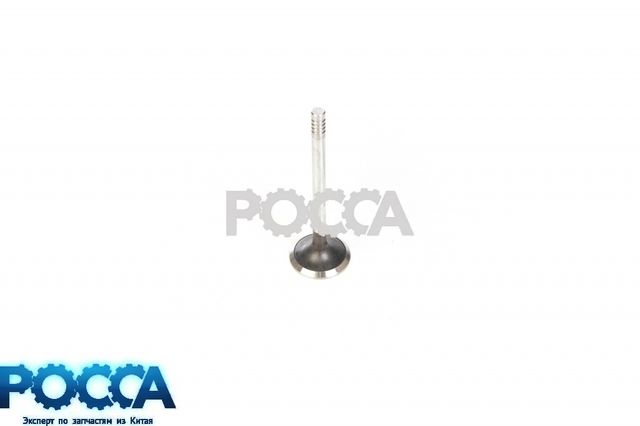 Клапан выпускной BAW (Бав) Fenix 1044 33462 1065 33460 дв.CA4DC2